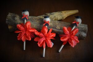 bomboniere-laurea-26