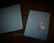Album-Fotografici-Guestbook-36