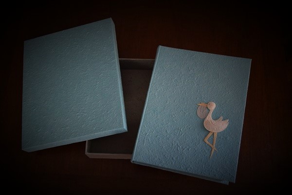 album-fotografici-guestbook-36