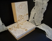 Album-Fotografici-Guestbook-7