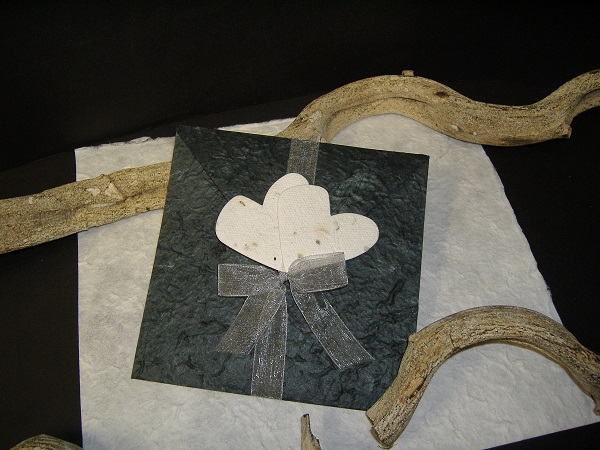 partecipazioni-solidali-12