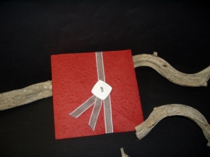 partecipazioni-solidali-16