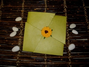 partecipazioni-solidali-19