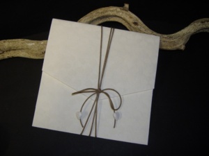 partecipazioni-solidali-24