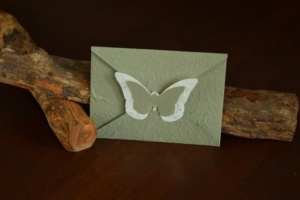 partecipazioni-solidali-57