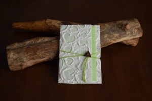 partecipazioni-solidali-61