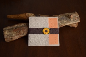 partecipazioni-solidali-62