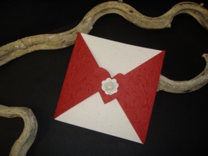 partecipazioni-solidali-8