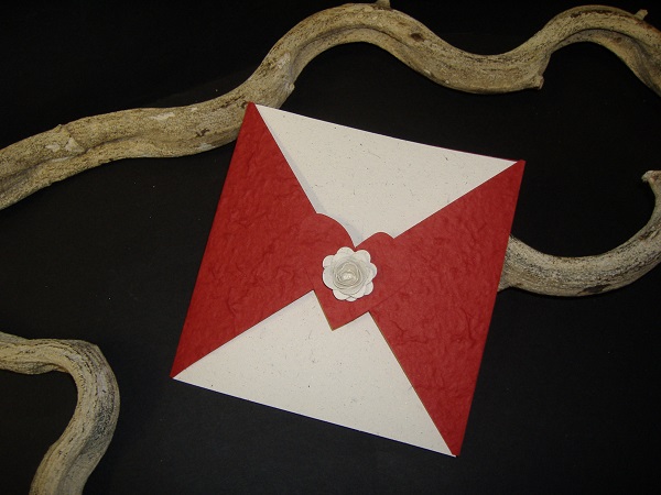 partecipazioni-solidali-8