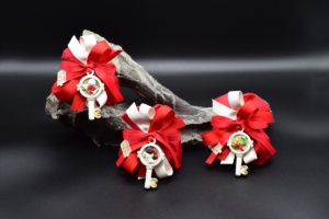 bomboniere-laurea-62