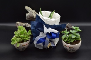 bomboniere-matrimoni-81