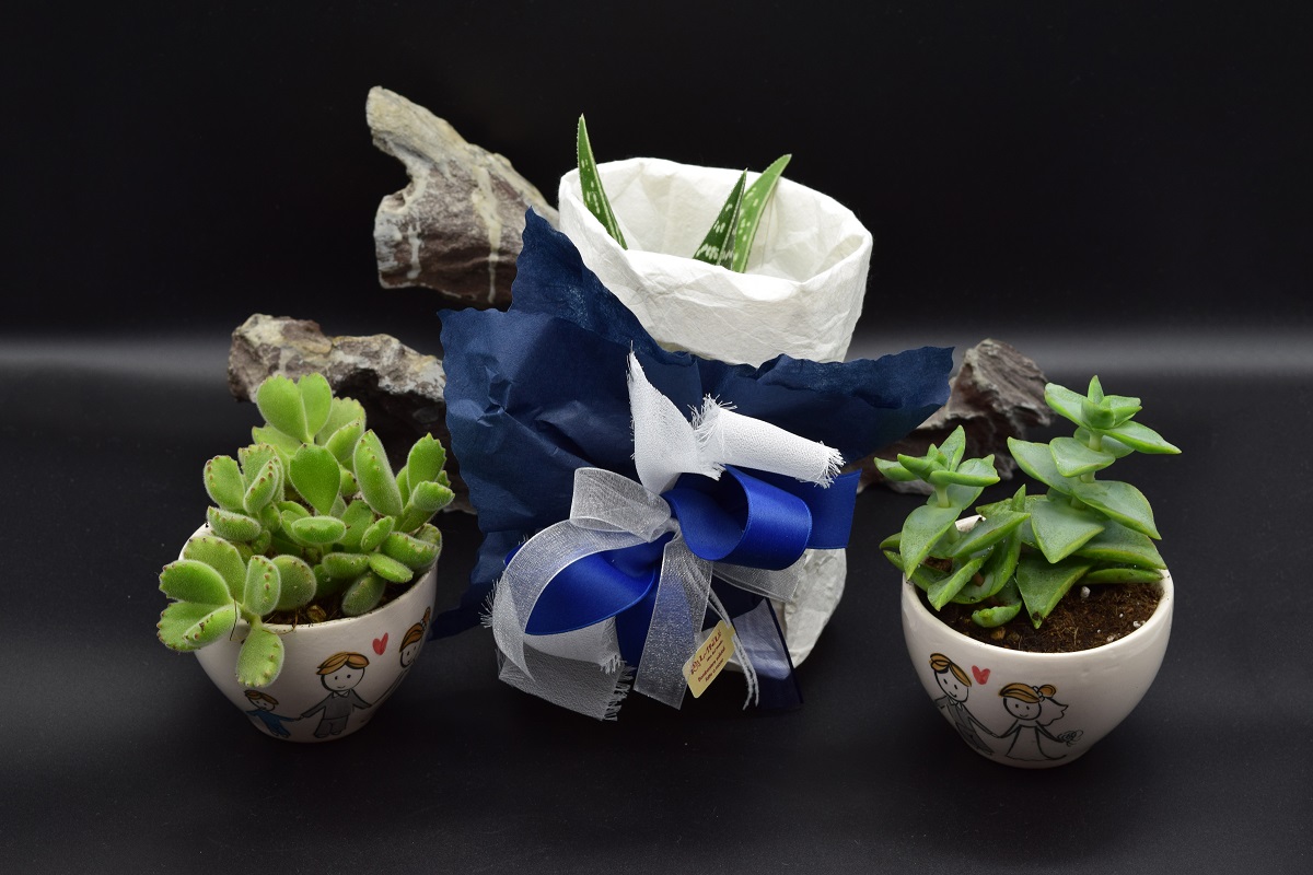 bomboniere-matrimoni-81